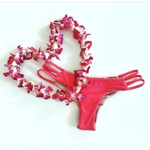 Midori Pitaya Emmie Bottoms